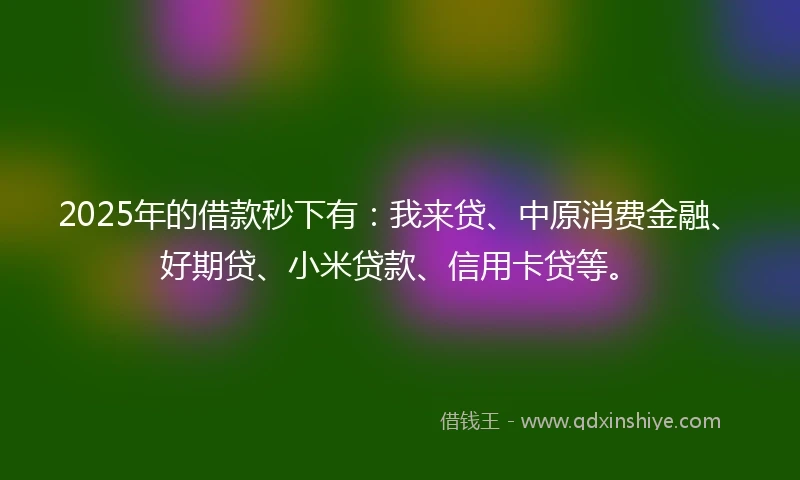 2025年的借款秒下有：我来贷、中原消费金融、好期贷、小米贷款、信用卡贷等。