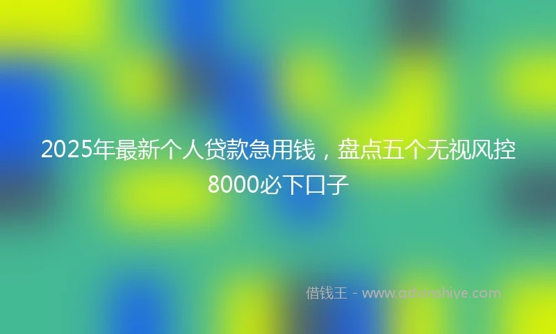 2025年最新个人贷款急用钱，盘点五个无视风控8000必下口子