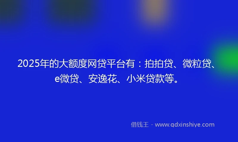 2025年的大额度网贷平台有：拍拍贷、微粒贷、e微贷、安逸花、小米贷款等。