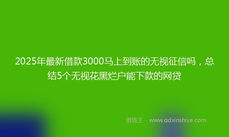 2025年最新借款3000马上到账的无视征信吗，总结5个无视花黑烂户能下款的网贷