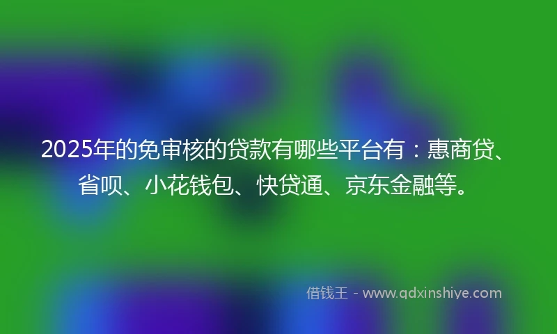 2025年的免审核的贷款有哪些平台有：惠商贷、省呗、小花钱包、快贷通、京东金融等。