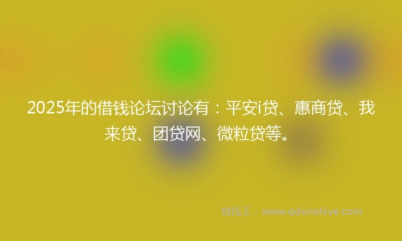 2025年的借钱论坛讨论有：平安i贷、惠商贷、我来贷、团贷网、微粒贷等。