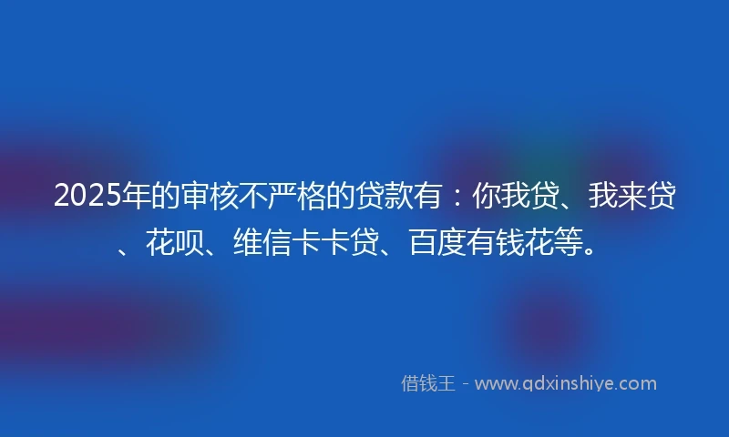 2025年的审核不严格的贷款有：你我贷、我来贷、花呗、维信卡卡贷、百度有钱花等。