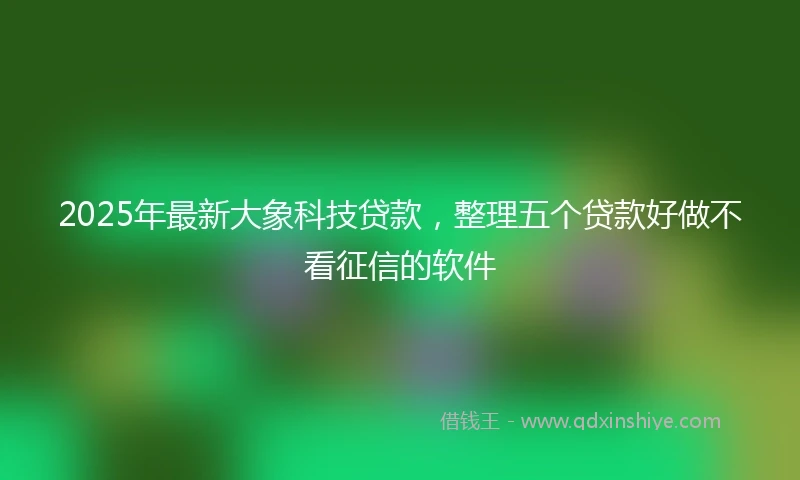 2025年最新大象科技贷款，整理五个贷款好做不看征信的软件