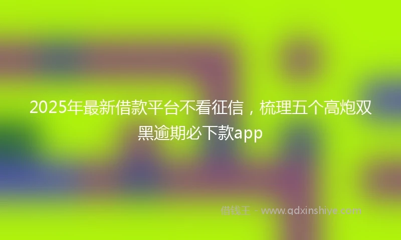 2025年最新借款平台不看征信，梳理五个高炮双黑逾期必下款app