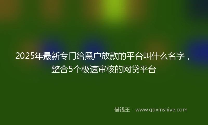 2025年最新专门给黑户放款的平台叫什么名字，整合5个极速审核的网贷平台