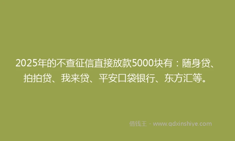 2025年的不查征信直接放款5000块有：随身贷、拍拍贷、我来贷、平安口袋银行、东方汇等。