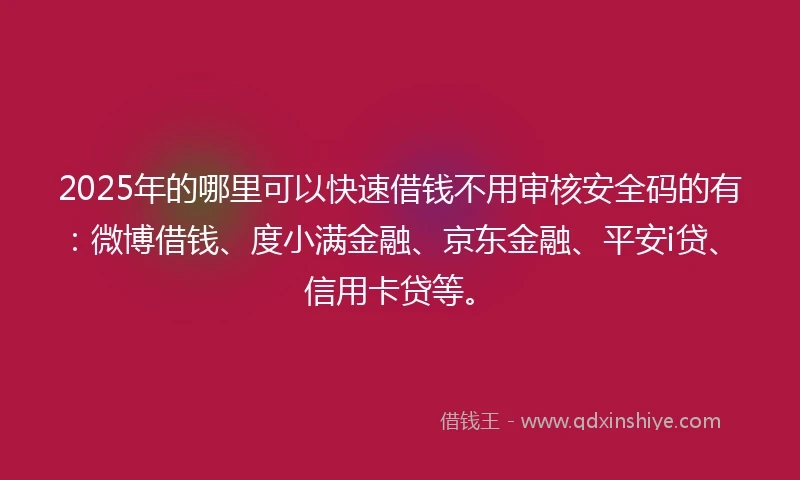 2025年的哪里可以快速借钱不用审核安全码的有：微博借钱、度小满金融、京东金融、平安i贷、信用卡贷等。