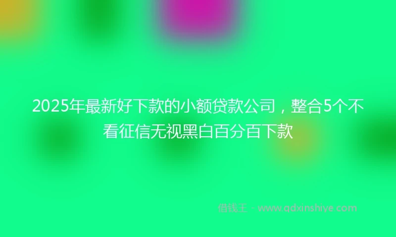 2025年最新好下款的小额贷款公司，整合5个不看征信无视黑白百分百下款