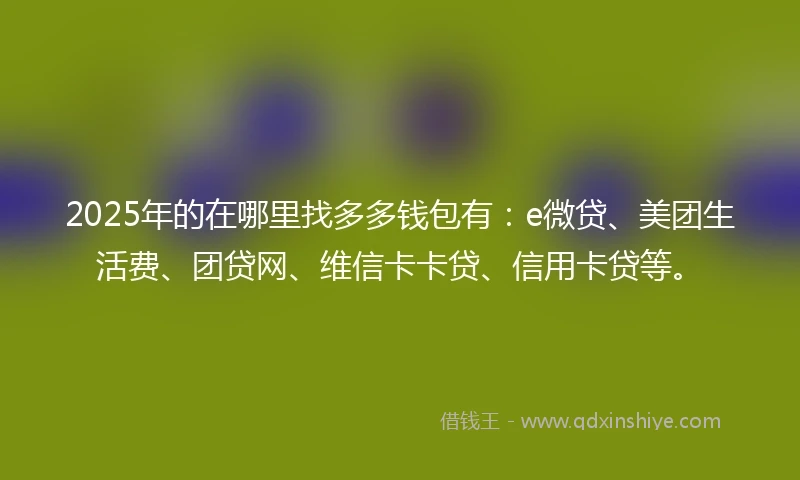 2025年的在哪里找多多钱包有：e微贷、美团生活费、团贷网、维信卡卡贷、信用卡贷等。
