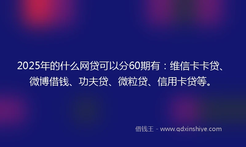 2025年的什么网贷可以分60期有：维信卡卡贷、微博借钱、功夫贷、微粒贷、信用卡贷等。