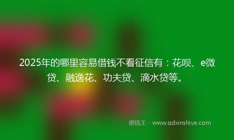 2025年的哪里容易借钱不看征信有：花呗、e微贷、融逸花、功夫贷、滴水贷等。