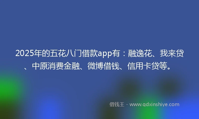2025年的五花八门借款app有：融逸花、我来贷、中原消费金融、微博借钱、信用卡贷等。