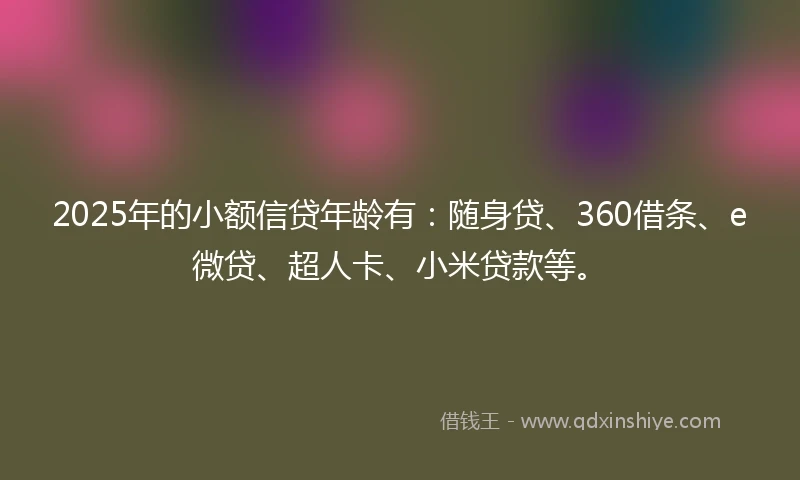 2025年的小额信贷年龄有：随身贷、360借条、e微贷、超人卡、小米贷款等。