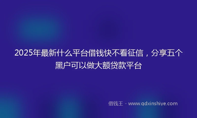 2025年最新什么平台借钱快不看征信，分享五个黑户可以做大额贷款平台