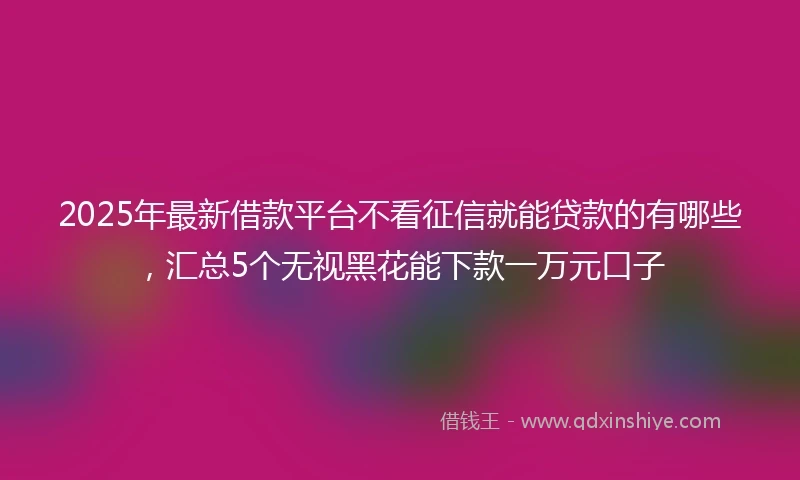 2025年最新借款平台不看征信就能贷款的有哪些，汇总5个无视黑花能下款一万元口子
