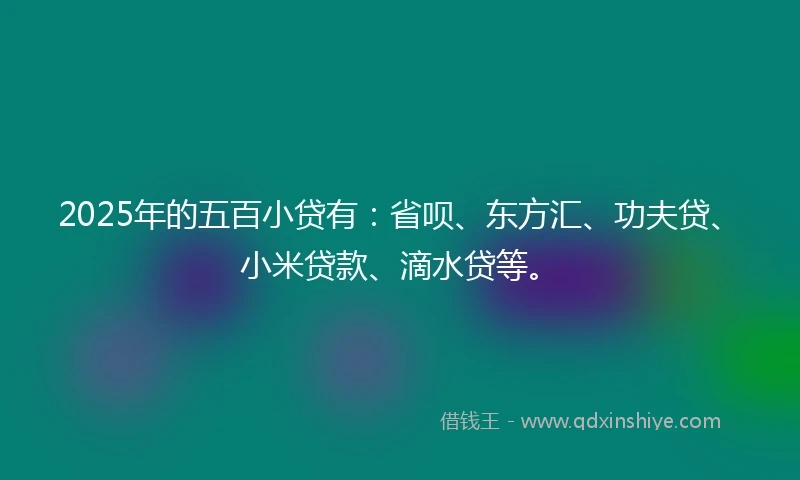 2025年的五百小贷有：省呗、东方汇、功夫贷、小米贷款、滴水贷等。