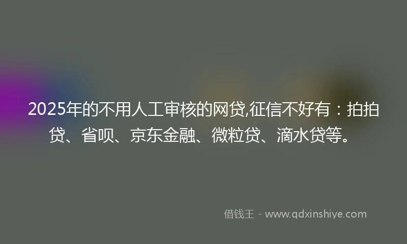 2025年的不用人工审核的网贷,征信不好有：拍拍贷、省呗、京东金融、微粒贷、滴水贷等。