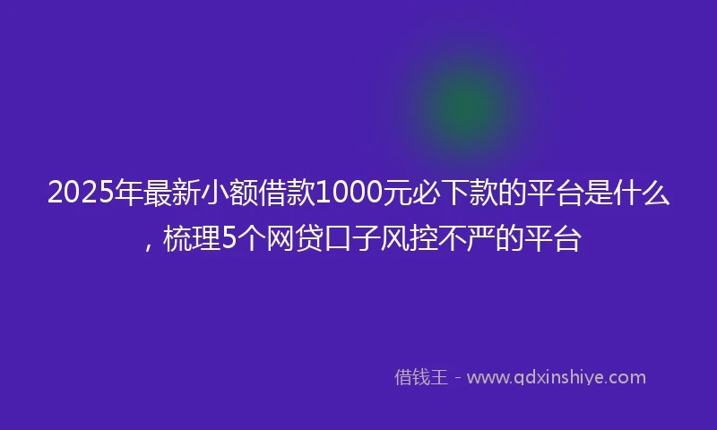 2025年最新小额借款1000元必下款的平台是什么，梳理5个网贷口子风控不严的平台