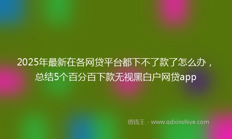 2025年最新在各网贷平台都下不了款了怎么办，总结5个百分百下款无视黑白户网贷app