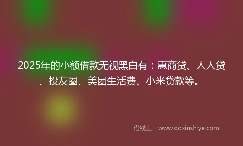 2025年的小额借款无视黑白有：惠商贷、人人贷、投友圈、美团生活费、小米贷款等。