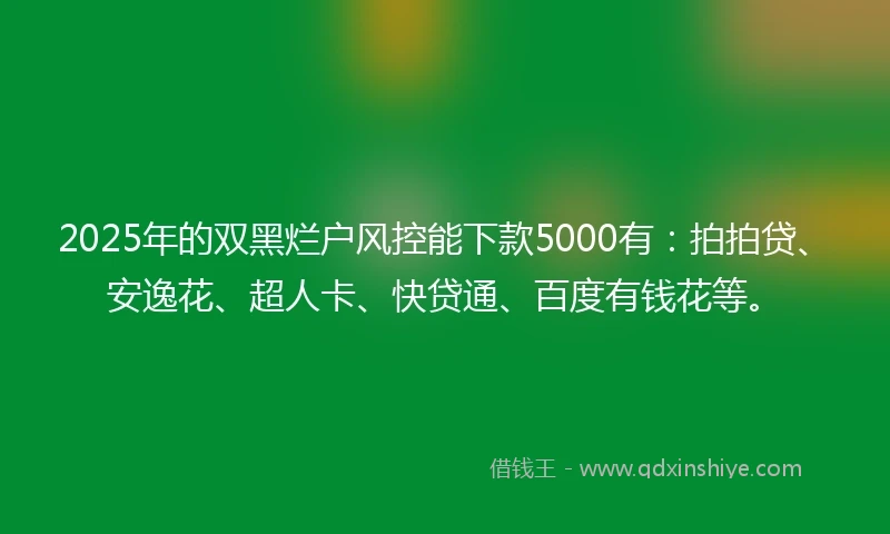 2025年的双黑烂户风控能下款5000有：拍拍贷、安逸花、超人卡、快贷通、百度有钱花等。