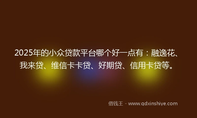 2025年的小众贷款平台哪个好一点有：融逸花、我来贷、维信卡卡贷、好期贷、信用卡贷等。