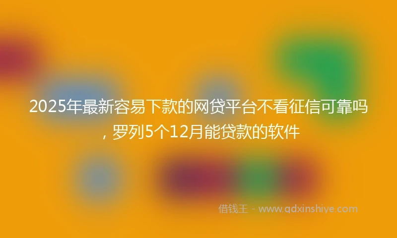 2025年最新容易下款的网贷平台不看征信可靠吗，罗列5个12月能贷款的软件