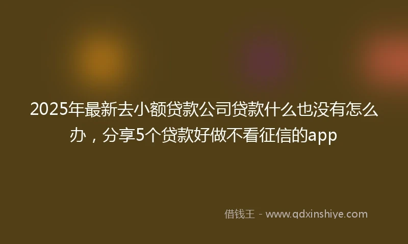 2025年最新去小额贷款公司贷款什么也没有怎么办，分享5个贷款好做不看征信的app