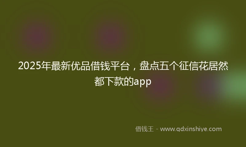 2025年最新优品借钱平台，盘点五个征信花居然都下款的app