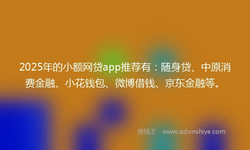 2025年的小额网贷app推荐有：随身贷、中原消费金融、小花钱包、微博借钱、京东金融等。