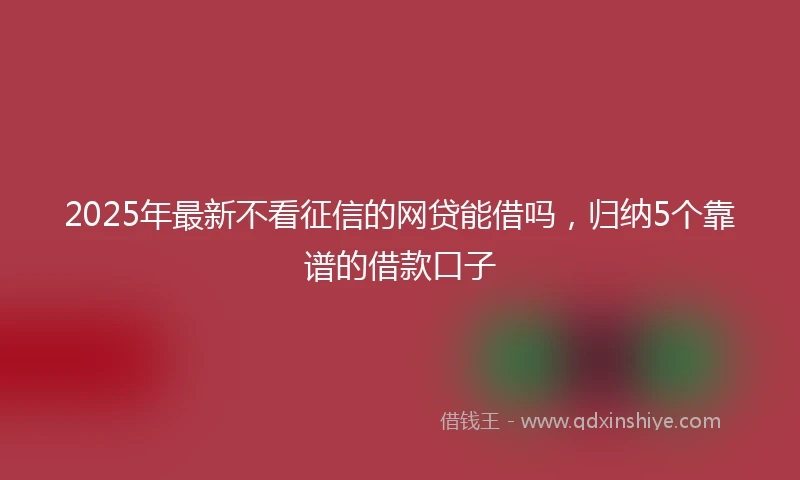2025年最新不看征信的网贷能借吗，归纳5个靠谱的借款口子
