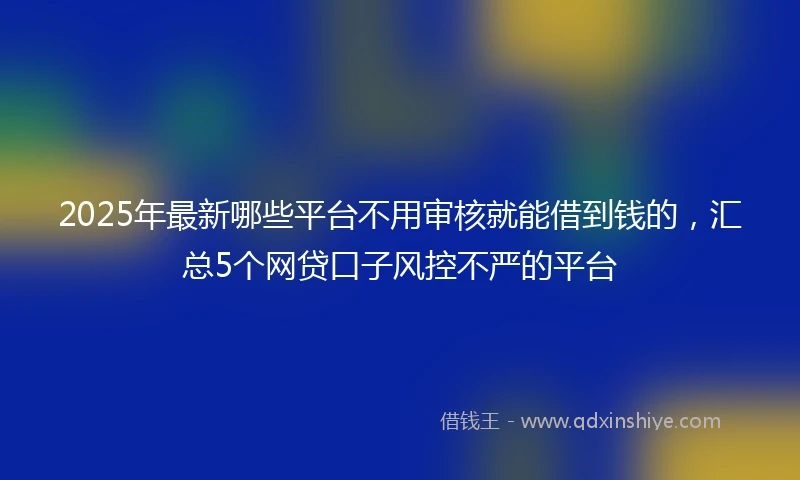 2025年最新哪些平台不用审核就能借到钱的，汇总5个网贷口子风控不严的平台