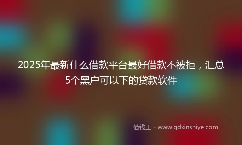 2025年最新什么借款平台最好借款不被拒，汇总5个黑户可以下的贷款软件