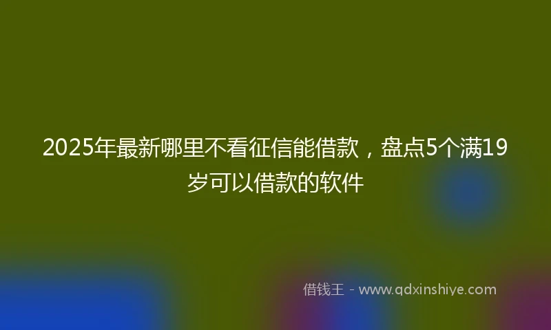 2025年最新哪里不看征信能借款，盘点5个满19岁可以借款的软件