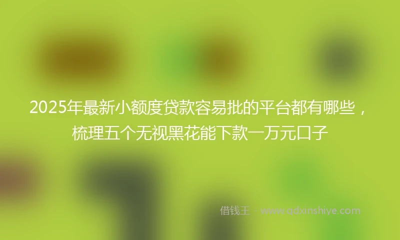 2025年最新小额度贷款容易批的平台都有哪些,梳理五个无视黑花能下款一万元口子