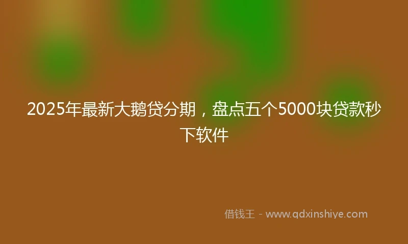 2025年最新大鹅贷分期,盘点五个5000块贷款秒下软件