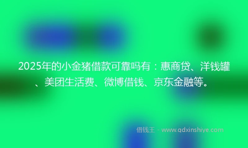 2025年的小金猪借款可靠吗有：惠商贷、洋钱罐、美团生活费、微博借钱、京东金融等。