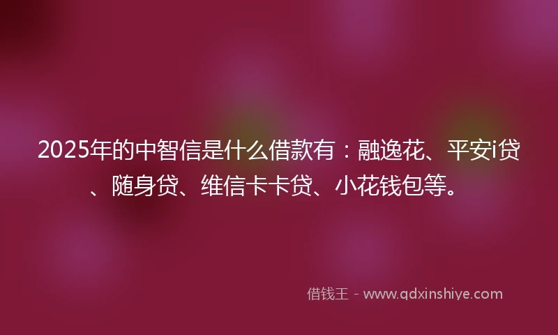2025年的中智信是什么借款有：融逸花、平安i贷、随身贷、维信卡卡贷、小花钱包等。