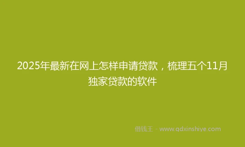 2025年最新在网上怎样申请贷款，梳理五个11月独家贷款的软件