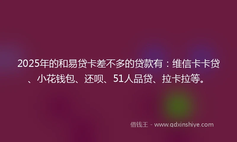 2025年的和易贷卡差不多的贷款有：维信卡卡贷、小花钱包、还呗、51人品贷、拉卡拉等。
