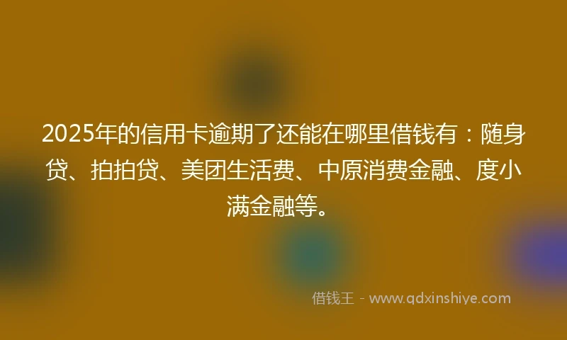 2025年的信用卡逾期了还能在哪里借钱有：随身贷、拍拍贷、美团生活费、中原消费金融、度小满金融等。