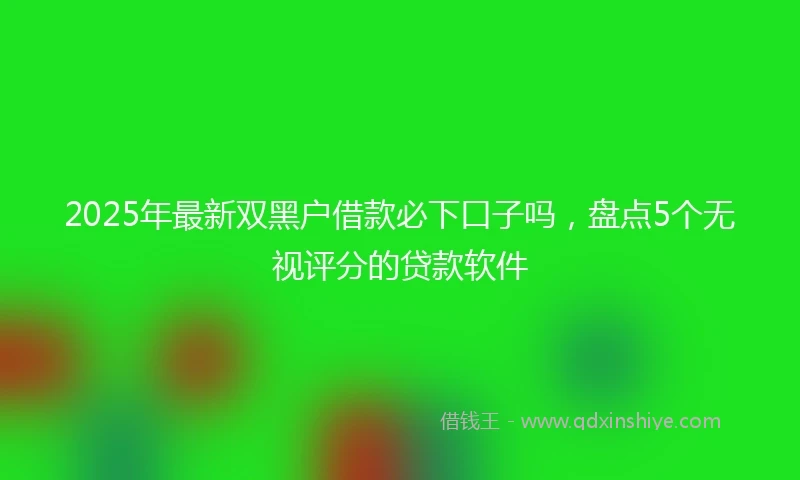2025年最新双黑户借款必下口子吗，盘点5个无视评分的贷款软件
