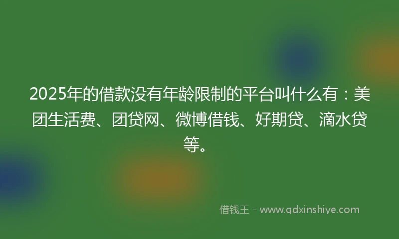 2025年的借款没有年龄限制的平台叫什么有：美团生活费、团贷网、微博借钱、好期贷、滴水贷等。