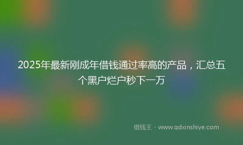 2025年最新刚成年借钱通过率高的产品，汇总五个黑户烂户秒下一万