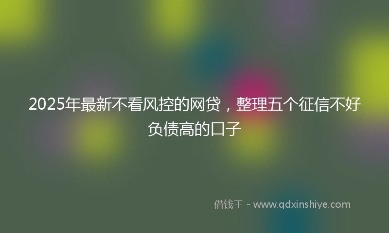 2025年最新不看风控的网贷，整理五个征信不好负债高的口子