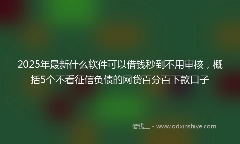 2025年最新什么软件可以借钱秒到不用审核，概括5个不看征信负债的网贷百分百下款口子