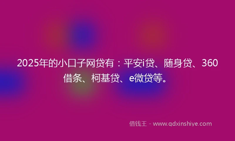 2025年的小口子网贷有：平安i贷、随身贷、360借条、柯基贷、e微贷等。