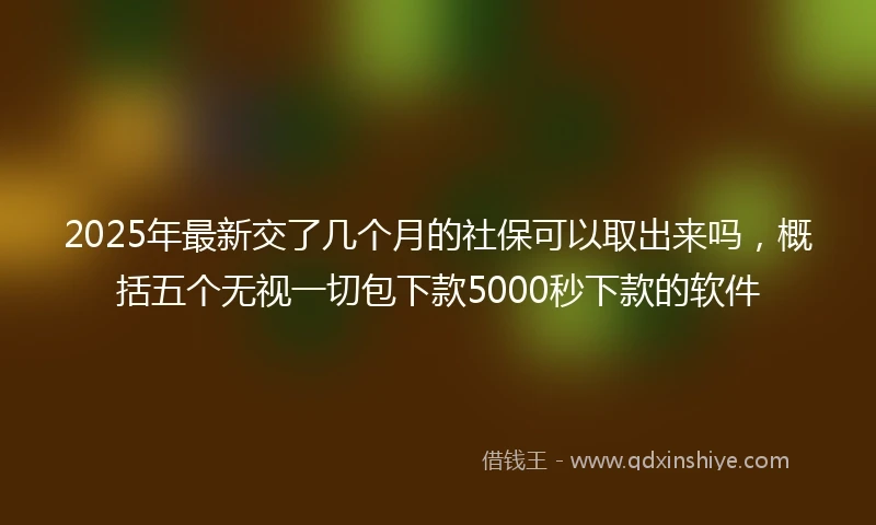 2025年最新交了几个月的社保可以取出来吗，概括五个无视一切包下款5000秒下款的软件