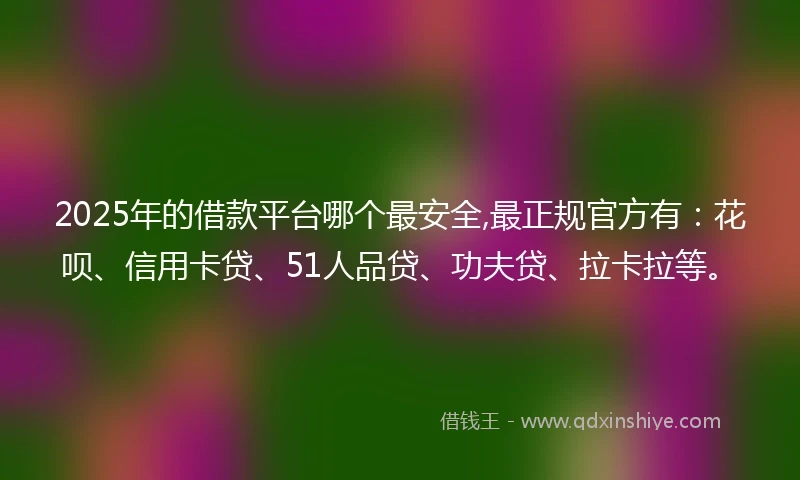 2025年的借款平台哪个最安全,最正规官方有：花呗、信用卡贷、51人品贷、功夫贷、拉卡拉等。